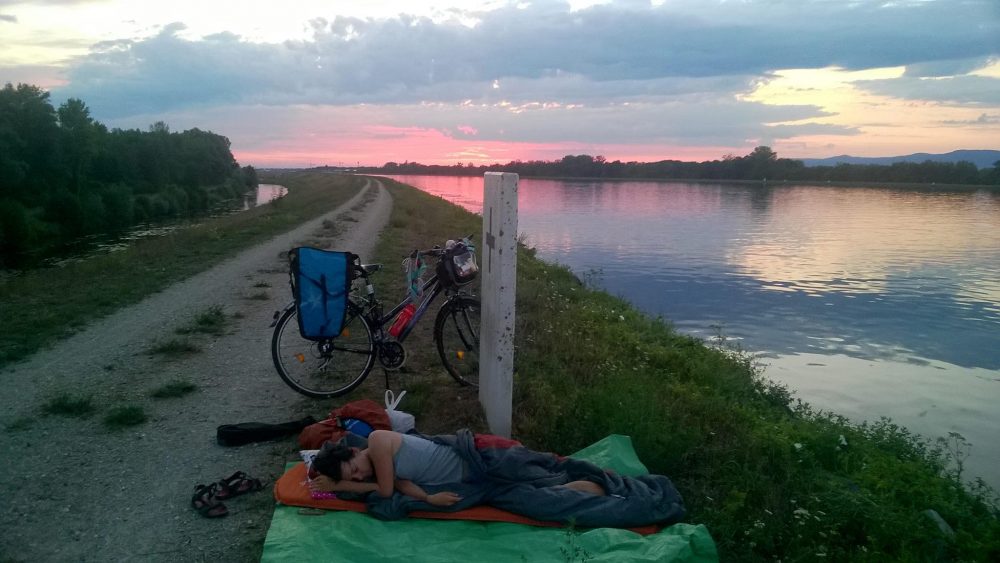 23277569634_3dea36d19f_k