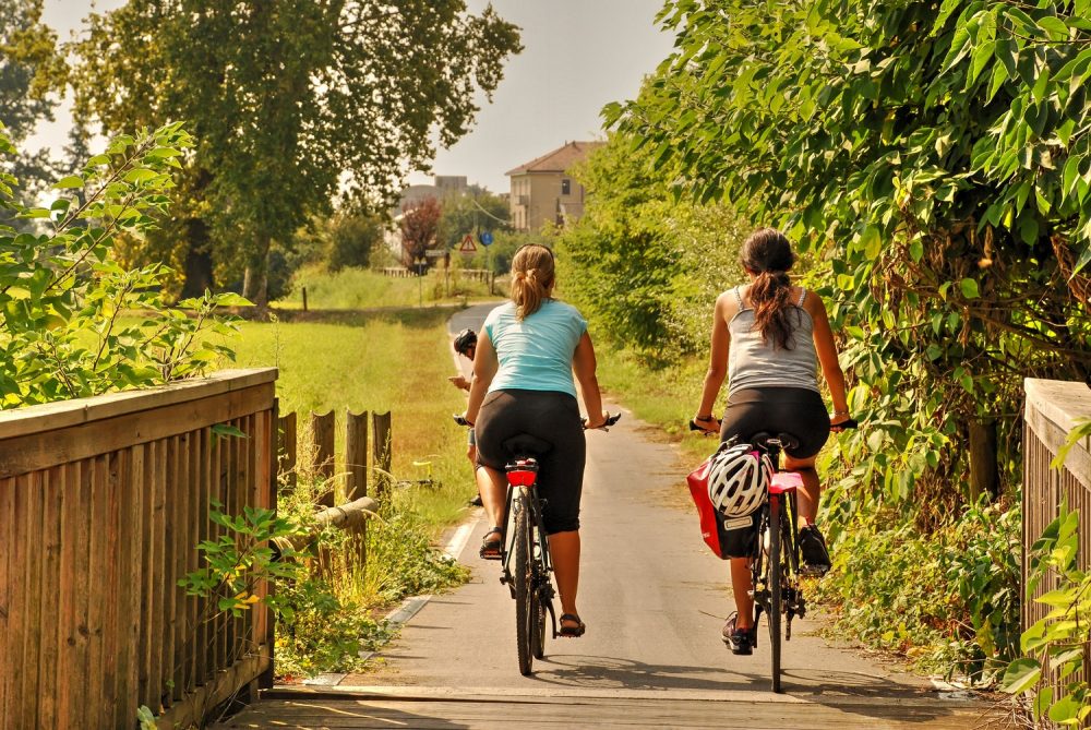 36410689053_db7cf66113_k