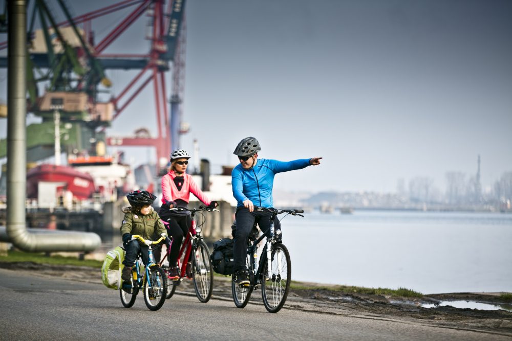 38450458390_62ce66ac8e_k