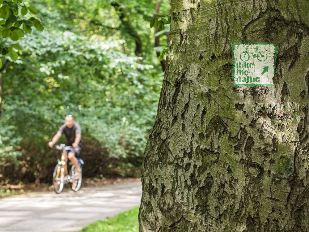 40260357291_fa67f9f5d6_k