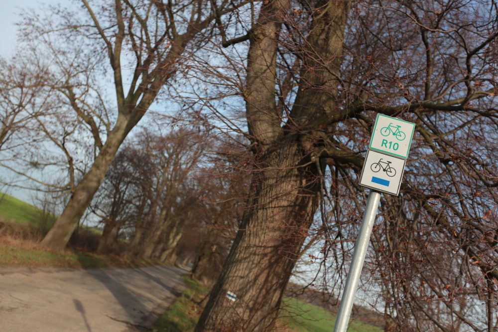 40260766741_23ae97fca5_k