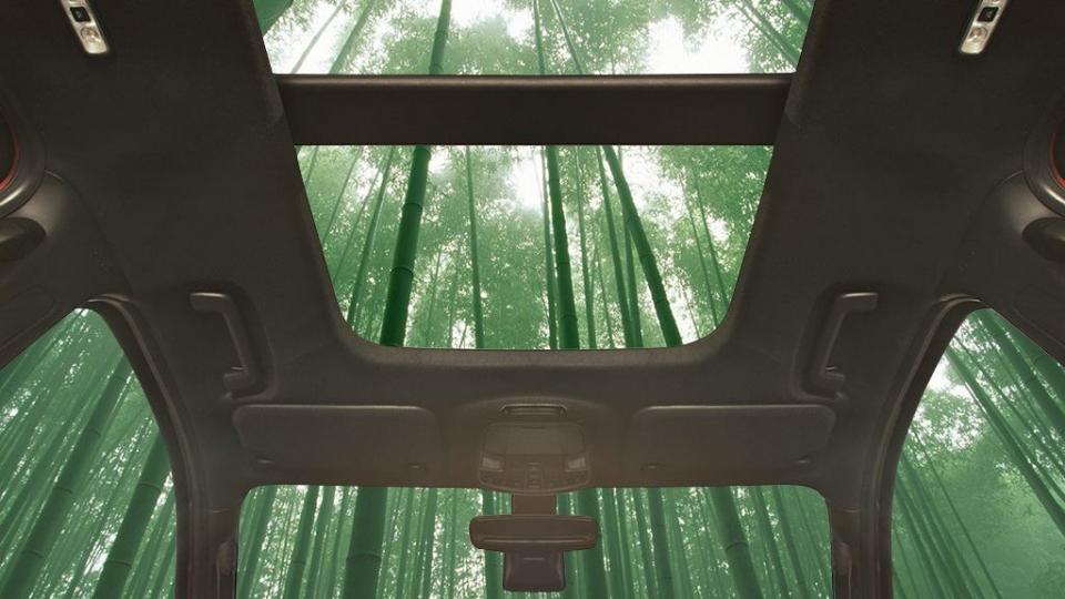 Bamboo-1-960×600