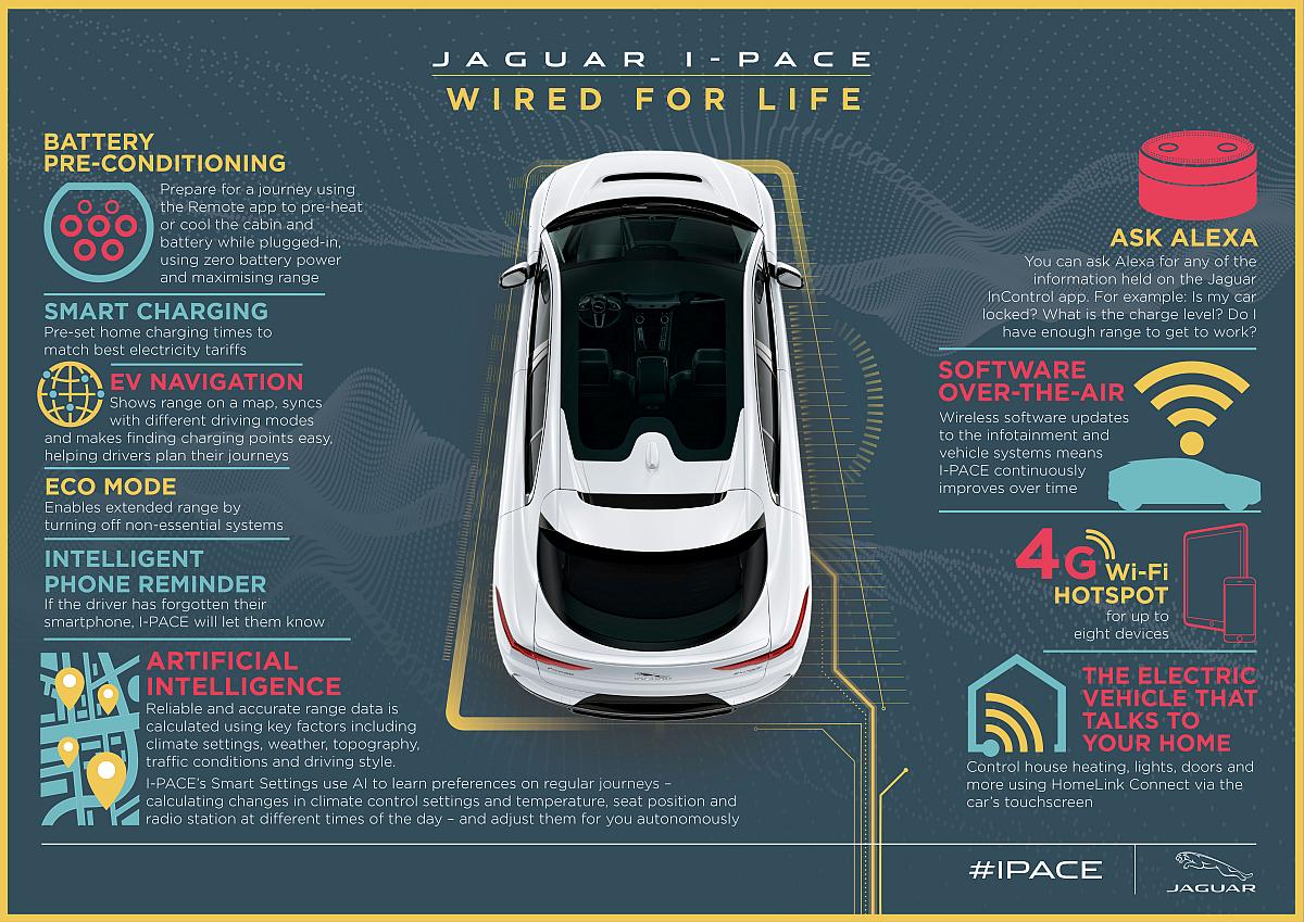 I-PACE Infographic – Wired for Life – Final