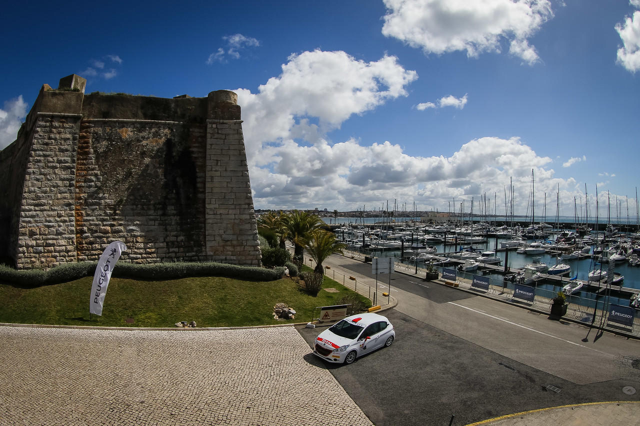 Peugeot 208 R2 (1)