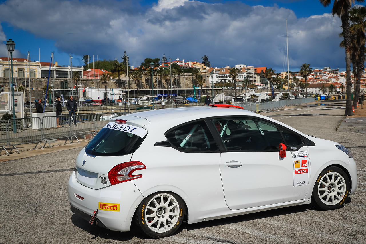 Peugeot 208 R2 (15)