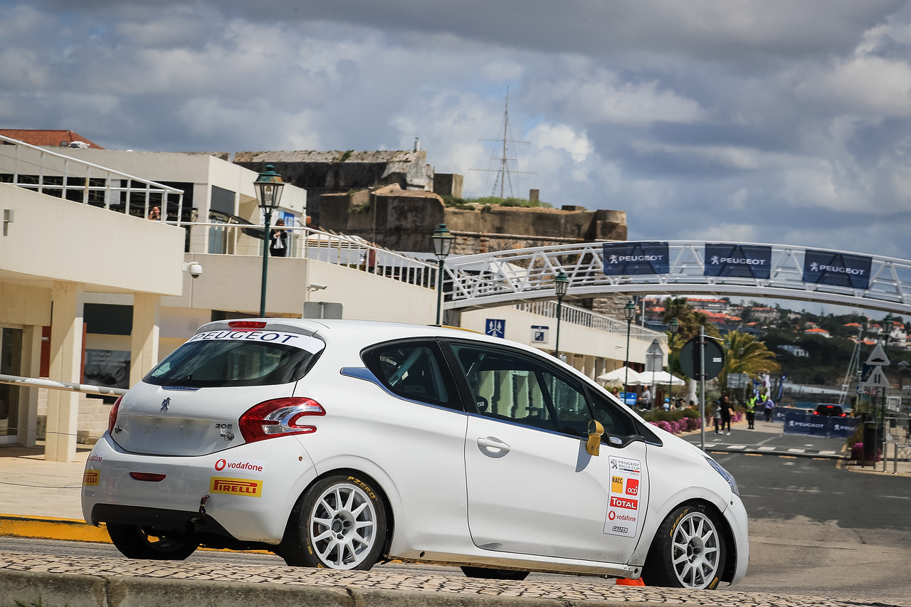 Peugeot 208 R2 (18)