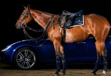 Cavalo de Tróia chinês preocupa Carlos Tavares