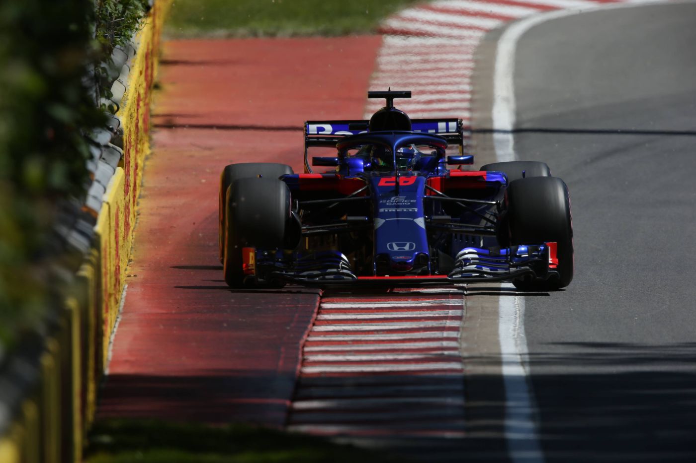 Toro Rosso (6)