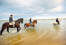 Tavira: um roteiro para viver ao sabor da maré