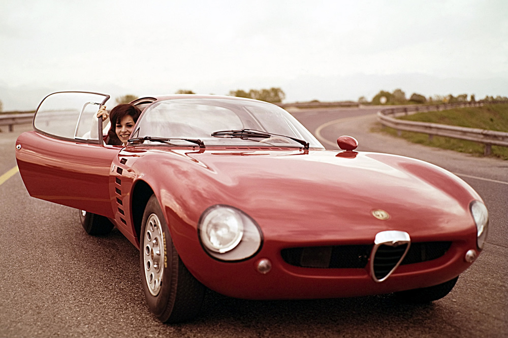 alfaromeocanguro3