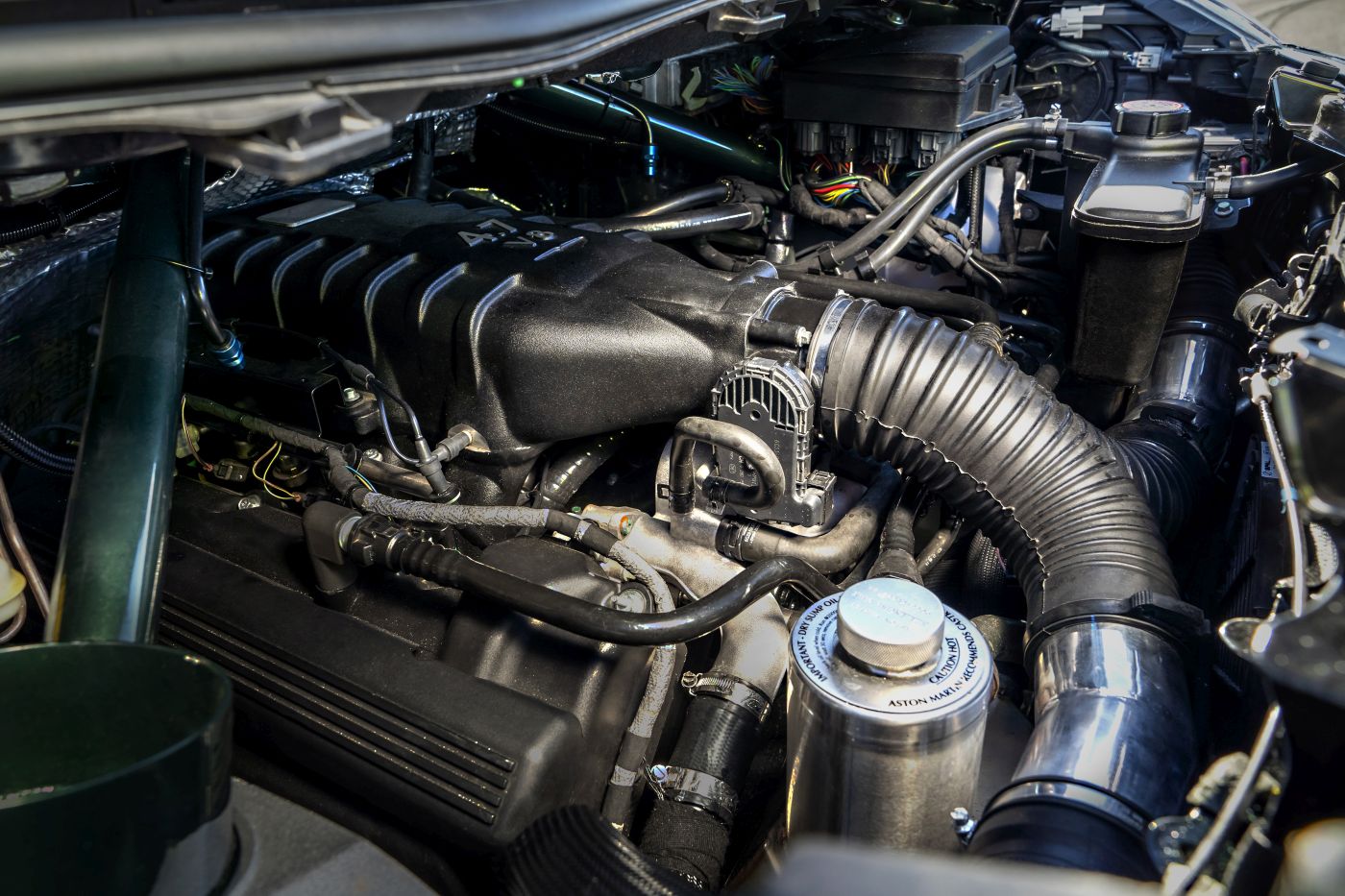 cygnet-v8-10-jpg