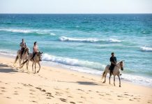 Do Alentejo ao Algarve: 12 roteiros para fazer este verão