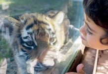 Lisboa: 7 razões para sair de casa este fim-de-semana