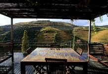 A nova rota de enoturismo do Douro passa por 16 quintas