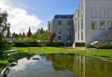 Os sabores a provar numa das mais longas ruas de Lisboa