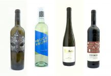 7 vinhos para acompanhar com pratos vegetarianos