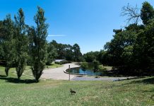 Porto: O Elétrico vai trazer música ao Parque da Pasteleira