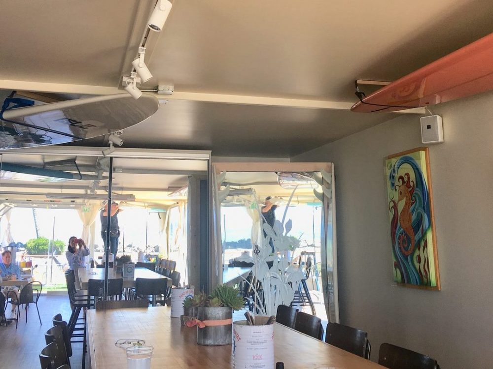 36511054_430791124063051_6092063826910380032_o