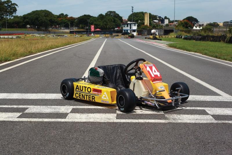 Ayrton-Senna-Kart_0