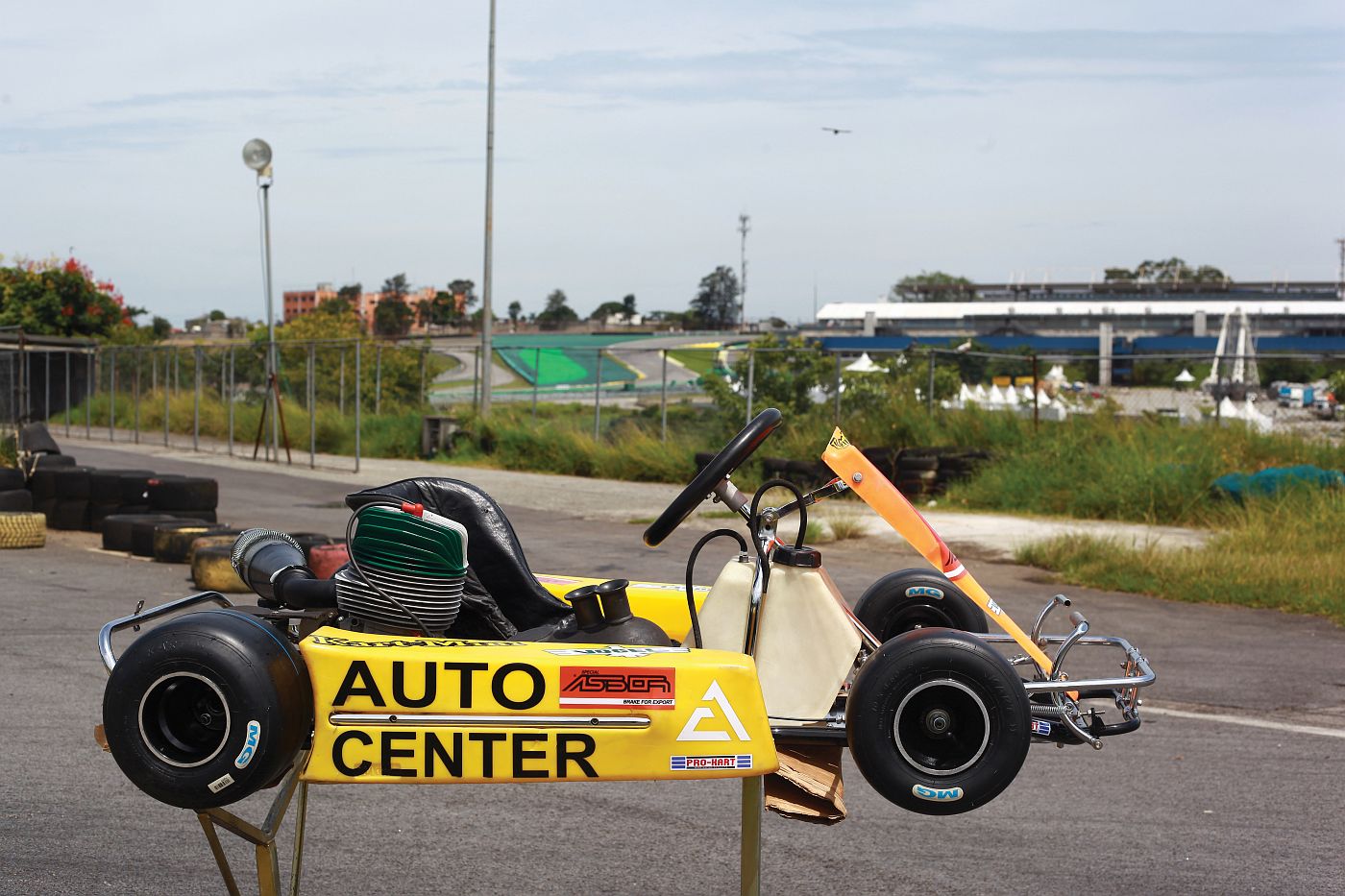 Ayrton-Senna-Kart_3