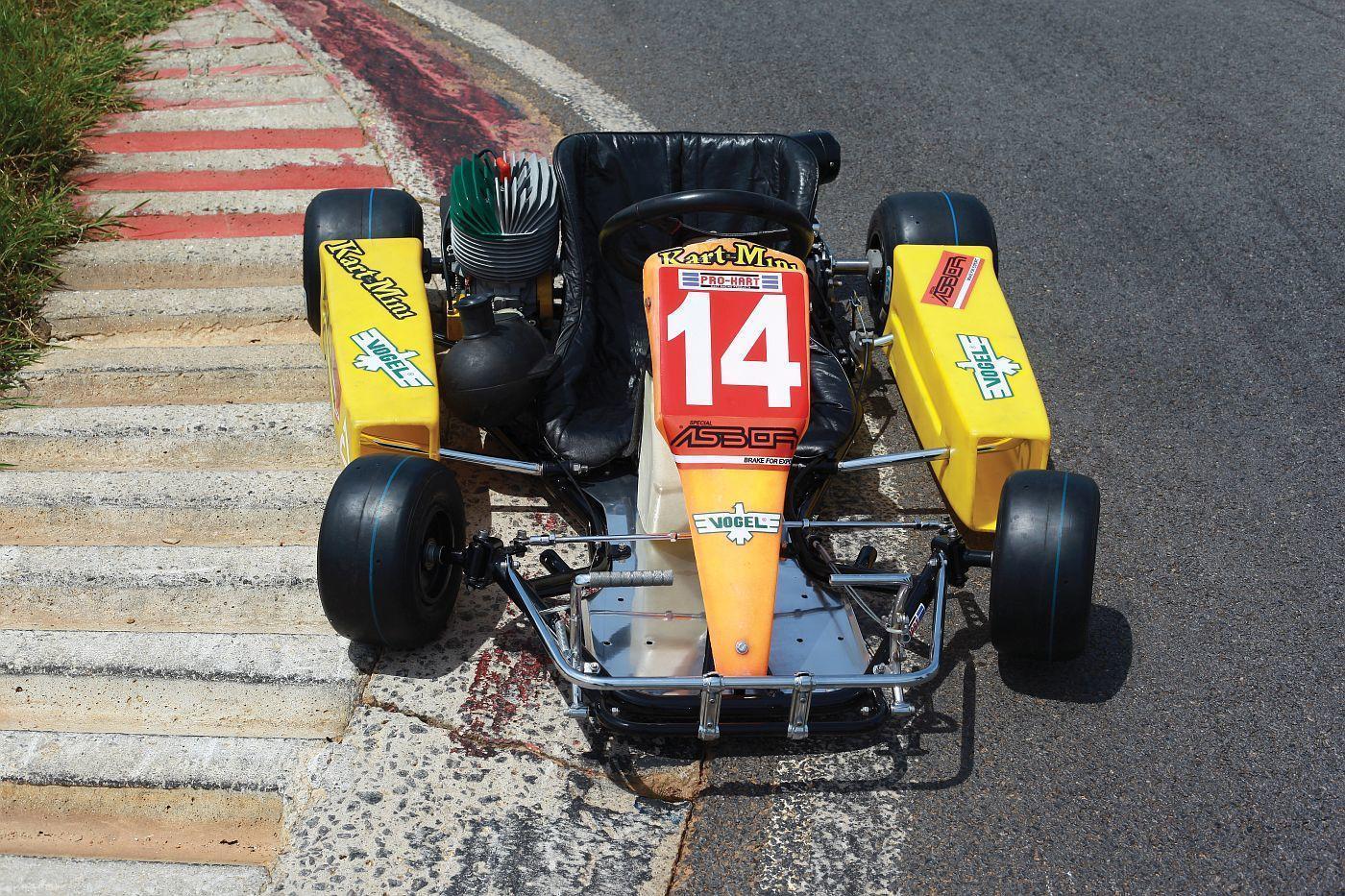 Ayrton-Senna-Kart_6