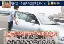 O estranho (e infalível) truque japonês para arrefecer o interior do carro