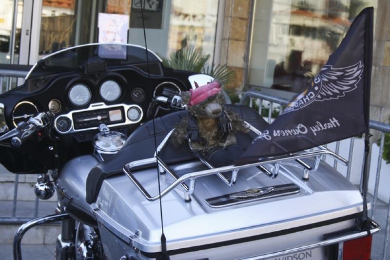 Concentração Harley-Davidson