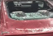 Granizo danifica 400 carros e mata dois animais em zoo