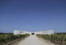 Beber, desenhar e socializar numa adega no Dão