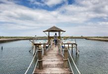 O miradouro de Aveiro que já foi uma salina