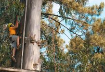 Este parque de aventuras é perfeito para ir em família