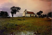 Crónica de Afonso Cruz: As histórias que se estragam