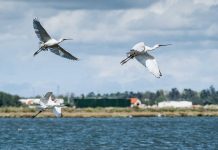 Lisboa: 8 ideias para aproveitar o último fim de semana do mês