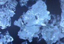 Microplásticos invisíveis a olho nu estão a chegar aos nossos pratos