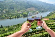 7 bons exemplos de vinhos feitos nas quintas do Douro