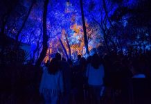 Lisboa: ideias para aproveitar o primeiro fim de semana de outono