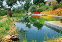Uma piscina num lodge em plena Costa Vicentina