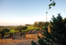 Lamego: um postal do Douro que merece um brinde