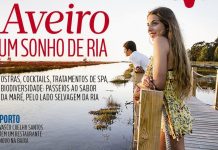 A Evasões desta sexta: À descoberta da Ria de Aveiro
