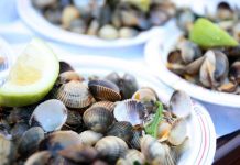 Vila algarvia recebe Festival do Berbigão no fim de semana