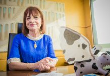 Serviços públicos testam “protótipos de inteligência artificial”