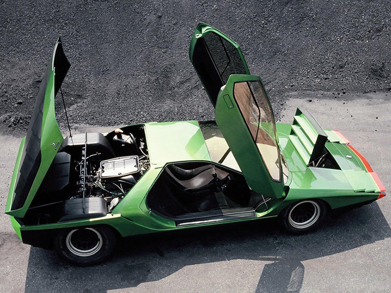 Carabo_2
