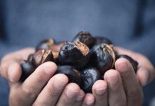 Receita: castanhas assadas no microondas em 5 minutos