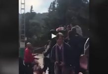 Vídeo: pais acabam à pancada em jogo de futebol infantil