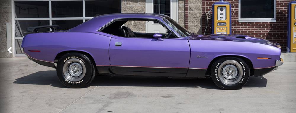barracuda
