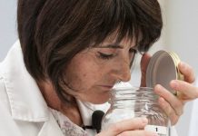 Ford quer eliminar o cheiro a carro novo