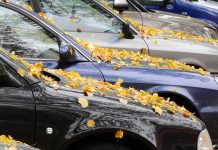 Prepare-se para o tempo frio: Todas as dicas para evitar avarias