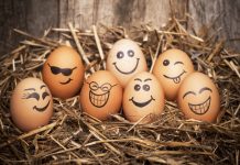 É este o número de ovos que pode comer por dia