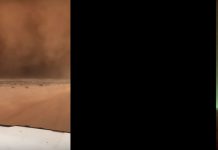 Só para os mais bravos: conduzir por uma tempestade de areia