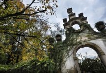 Coimbra tem um tesouro natural no centro da cidade